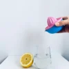 Lemon Squeezer 3D Print STL Model 