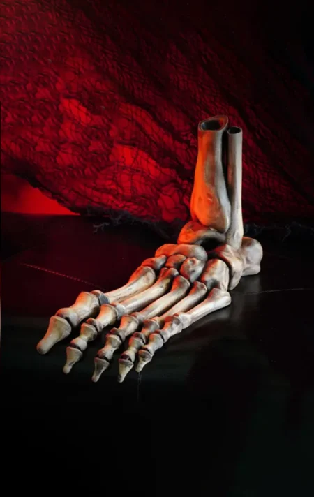 Skeleton Foot STL 3D Print Model