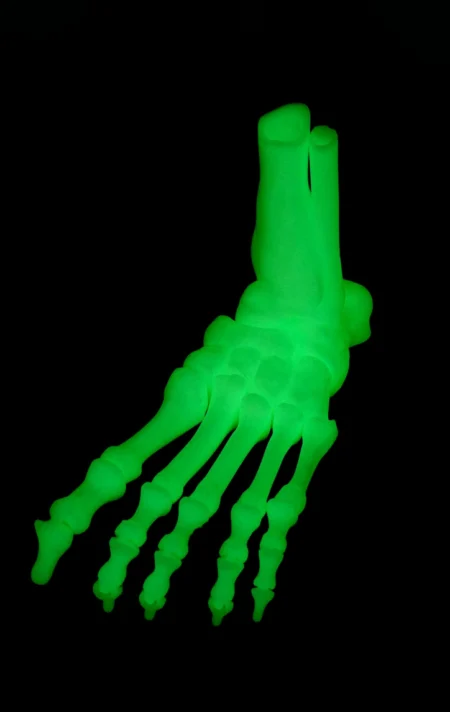 Skeleton Foot STL 3D Print Model
